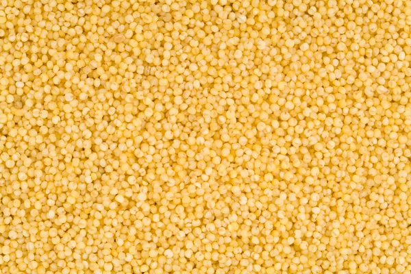 小米种子 — 图库照片