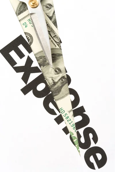 Expenses Cut — Stock Photo, Image