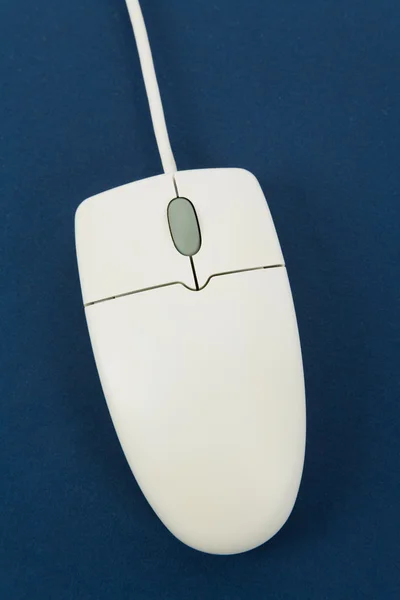 Ποντίκι υπολογιστή — Φωτογραφία Αρχείου