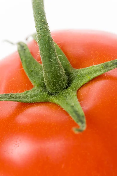 Red Tomato — Stock Photo, Image
