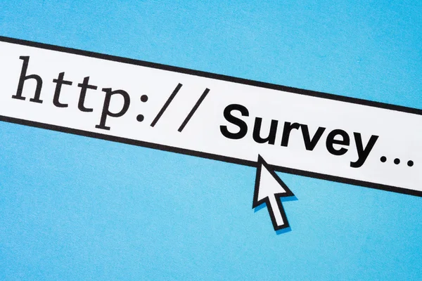 Online survey — Stock Photo, Image