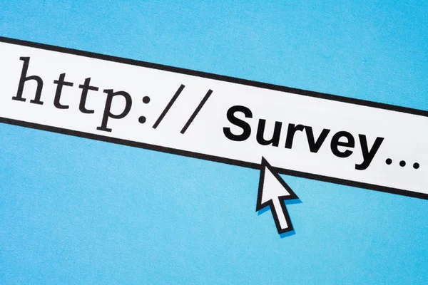 stock image Online survey