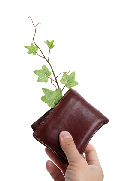 Brieftasche und Pflanze — Stockfoto