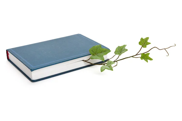 Blaues Buch und Sprosse — Stockfoto