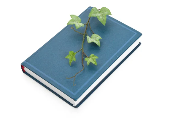 Mavi kitap ve Filiz — Stok fotoğraf