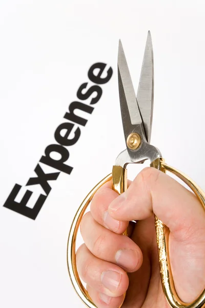 Expenses Cut — Stock Photo, Image