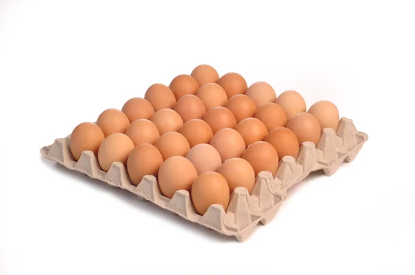 stock image Thirty eggs