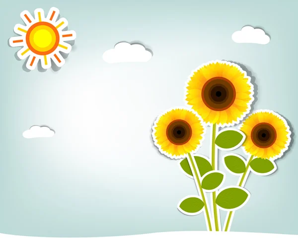 Cartoon sunflower Vector Art Stock Images | Depositphotos