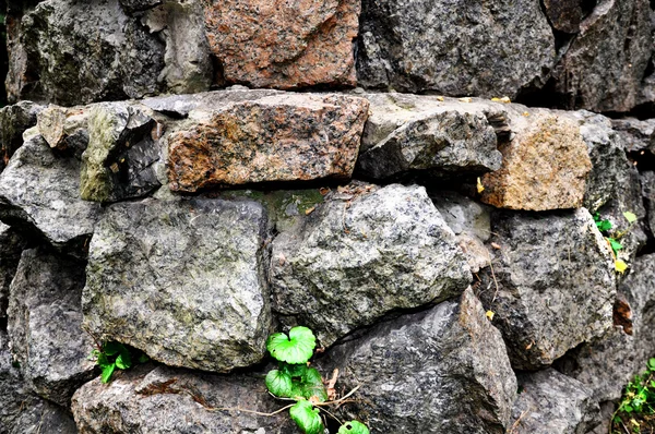 Alvenaria de pedra áspera — Fotografia de Stock