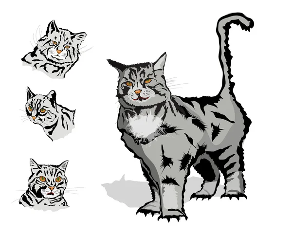 Gato y tres cabezas — Archivo Imágenes Vectoriales