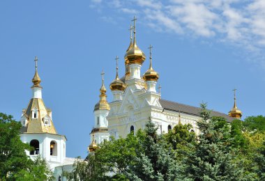 The Pokrovsky Cathedral in Kharkiv clipart