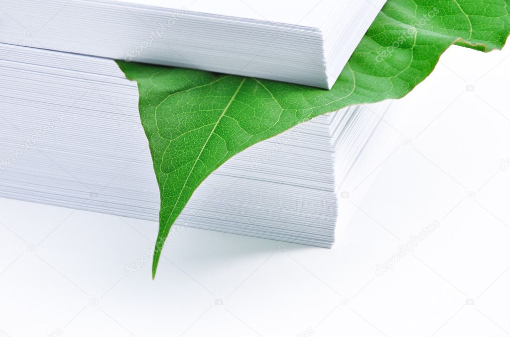 Leaf in stack of paper
