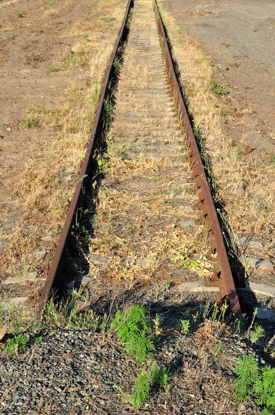 Deadlock på jernbanen - Stock-foto