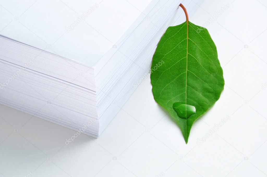 Green leaf and paper