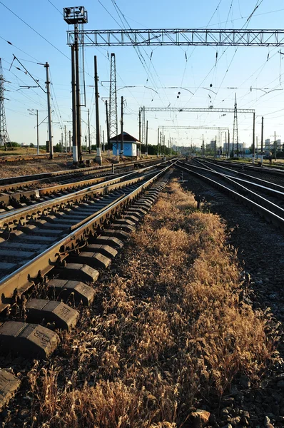 Jernbaner og græs - Stock-foto
