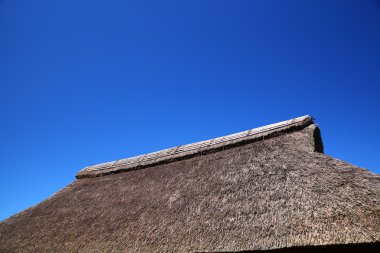 thatched çatı