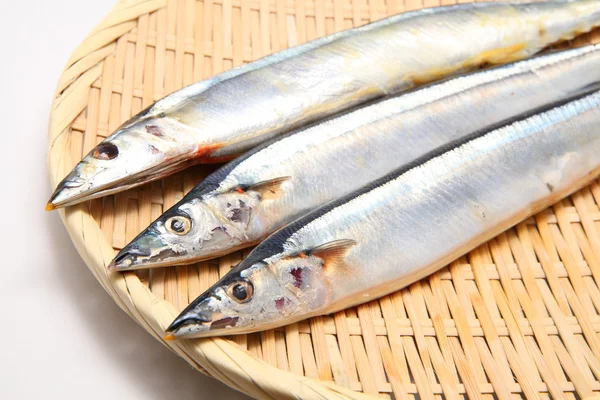 Pacific saury Stock Image