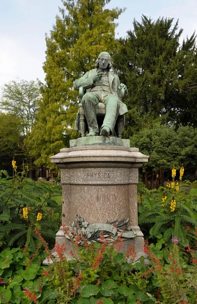 Gustave-adolphe hirn statua — Zdjęcie stockowe