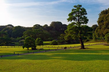 Tokyo geleneksel Japon bahçesi