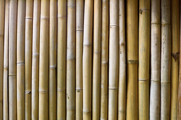 Stock image Bamboo wall