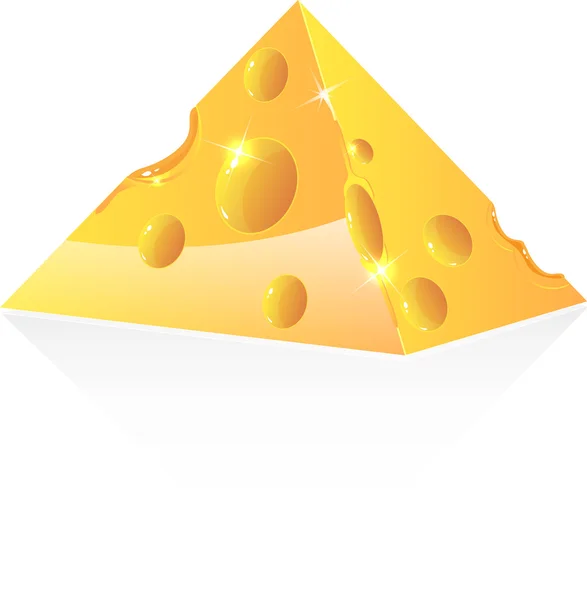 Cheese vector — Stock Vector