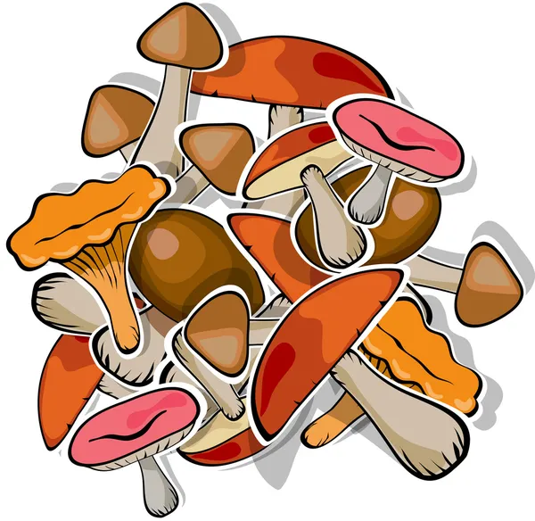 Conjunto de floresta de cogumelos vetor — Vetor de Stock