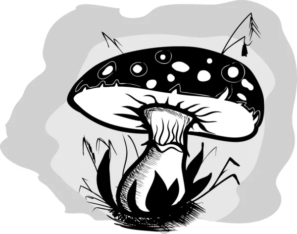 Vecteur champignon — Image vectorielle