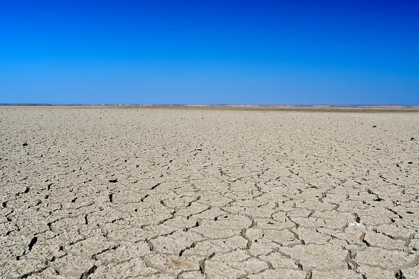 stock image Desert