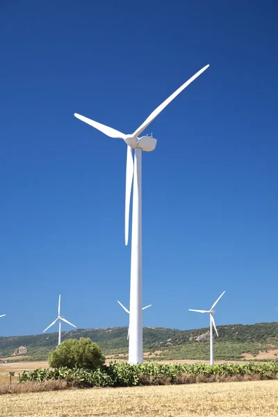 Большие ветряные мельницы — стоковое фото