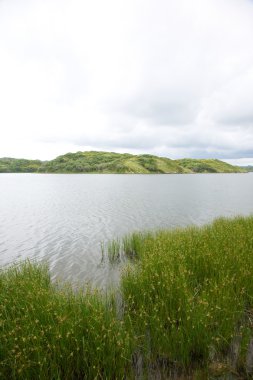 Yeşil arasındaki gri lagoon