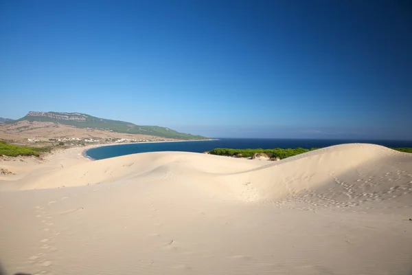 Dunes bolonia beach üzerinde — Stok fotoğraf