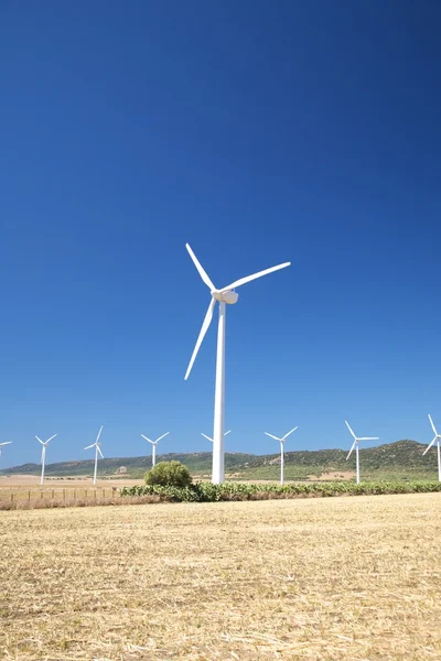 Ветроэнергетические заводы Захары — стоковое фото