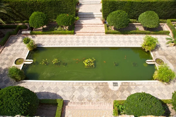 Aerial view of green pond — Stock Photo, Image
