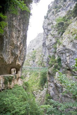 yaya köprüsü, river gorge umurunda