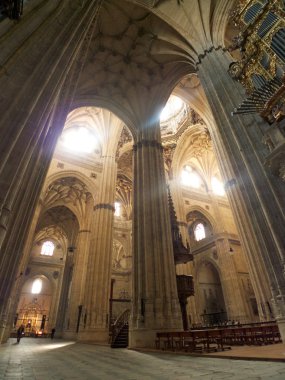 büyük kapalı, salamanca cathedral