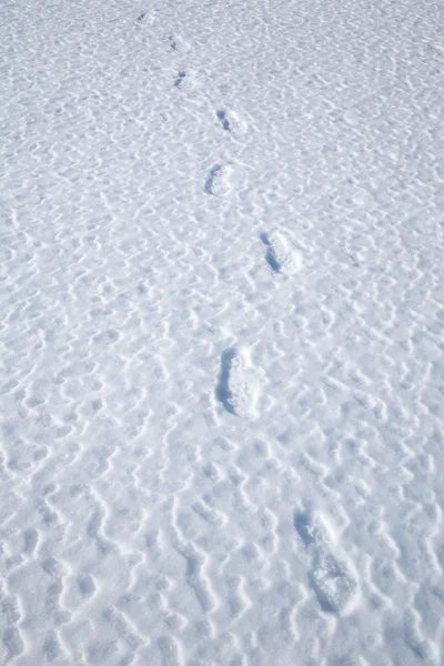 Footprints on snow — Stock Photo, Image