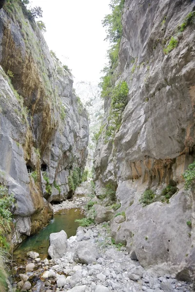 Gorge of River Cares — Stock Photo, Image