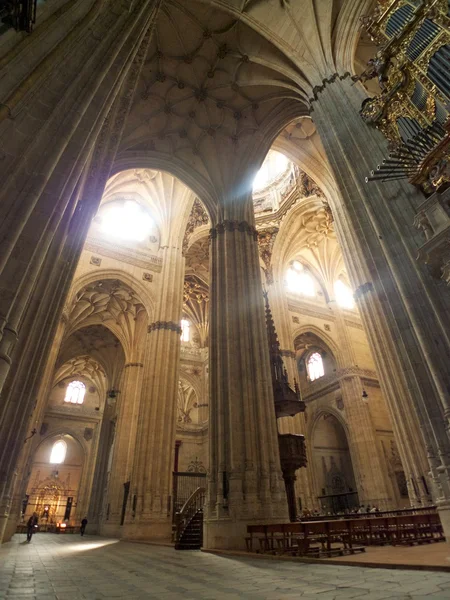 Grote binnen in de kathedraal van salamanca — Stockfoto