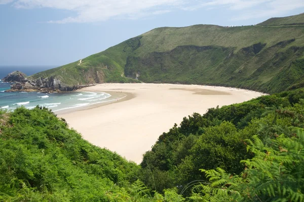 Grönt runt torimbia beach — Stockfoto