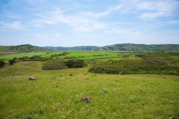 Зеленые поля Менорки — стоковое фото
