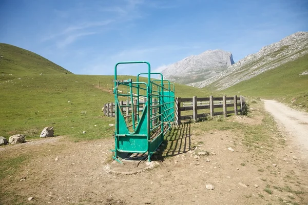 Alloggiamento di bestiame nella valle della Cantabria — Foto Stock