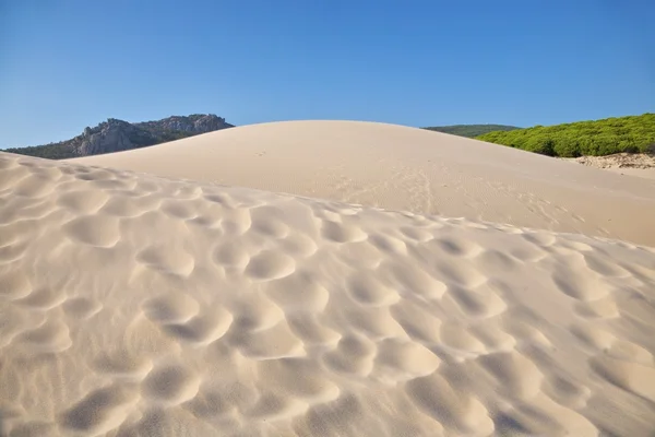 Flera sanddyner — Stockfoto