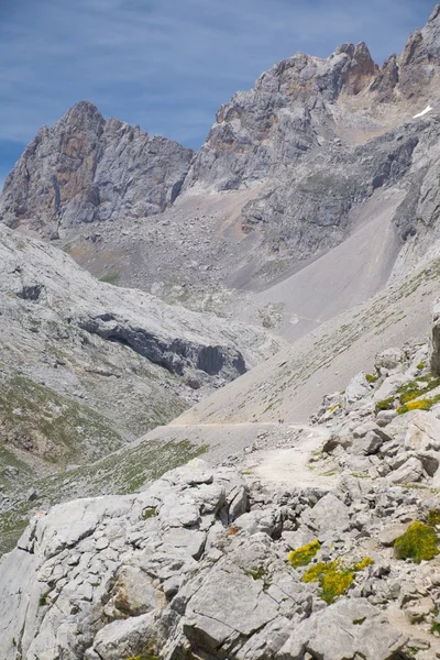 Pad door de bergen in Cantabrië — Stockfoto
