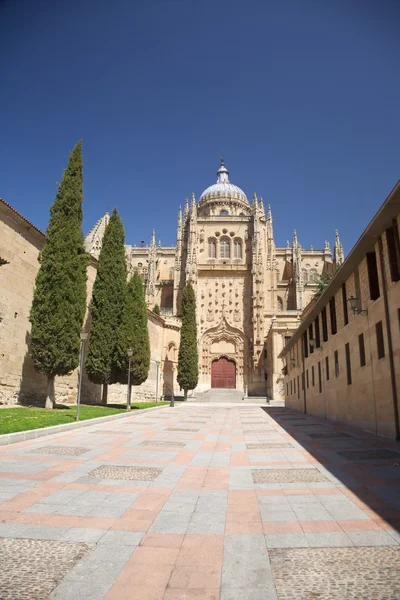 Calle peatonal a la catedral de Salamanca — Foto de Stock