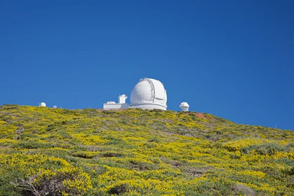 Observatoires Roque de los Muchachos — Photo
