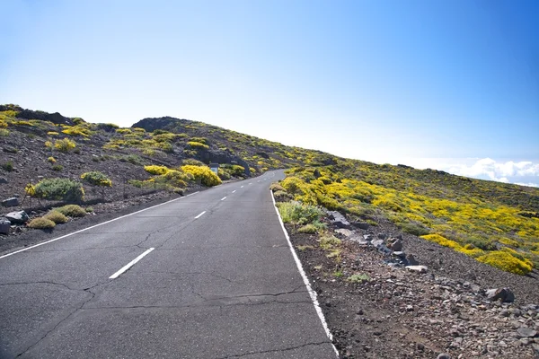 Estrada rural em La Palma — Fotografia de Stock