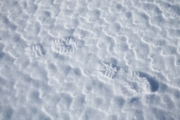 Pegadas no chão de neve — Fotografia de Stock