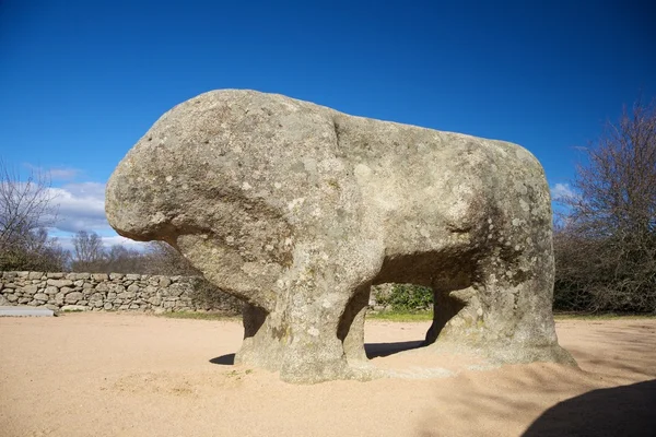 岩の牛側 — ストック写真