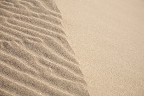 모래 세부 사항 — 스톡 사진