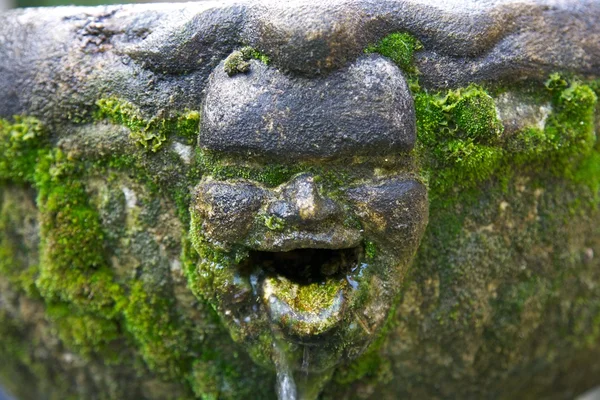 Улыбающееся лицо статуи мха — стоковое фото